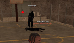 image (3).png