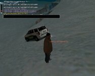 gallery303.jpg