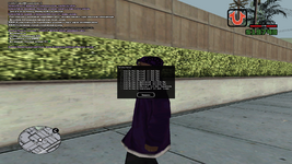 sa-mp-008.png