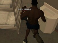 net.jpg