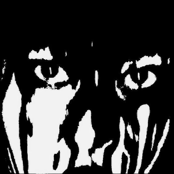 3139769_770e6e0dba9261c1435cd6a9ab34694a.jpeg