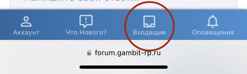 F3EA9377-80F1-4207-9819-FEF345117184.jpeg
