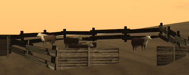 9.png