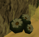 1691358327059.png