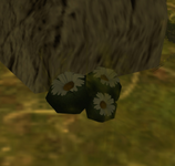1691358333117.png