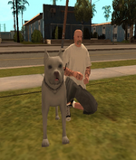 1698503747645.png