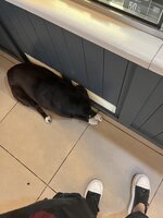IMG_3095.jpeg