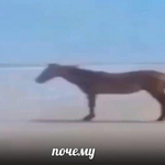 1699526430374.png