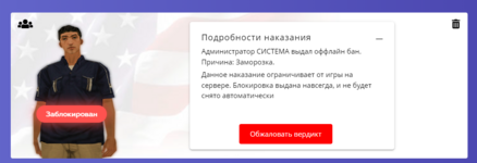 1702413782577.png