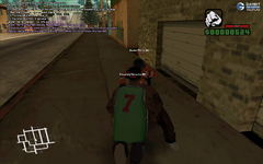 sa-mp-019.png