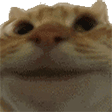 1703784819070.png