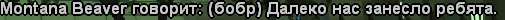 1704140563040.png
