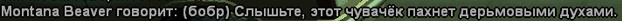 1704144784190.png
