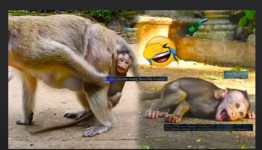 1704275323945.png