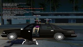 gallery252.jpg