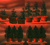 1705940681847.png