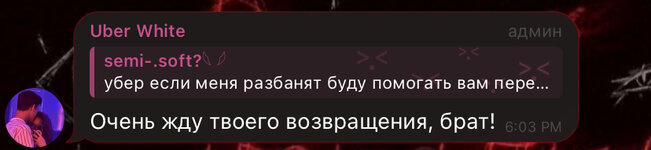 IMG_6561.jpeg IMG_6561.jpeg