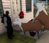 1707220039351.png