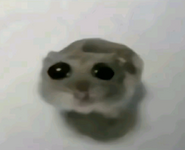 1707834893525.png