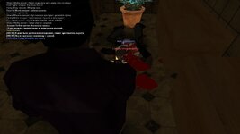 gallery397.jpg