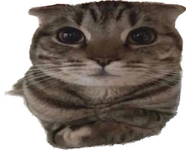 1708776996460.png