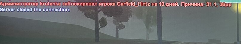 IMG_2165.jpeg