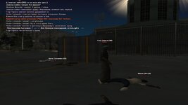 gallery173.jpg