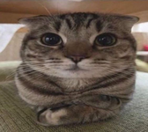 1714987755415.png