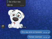 IMG_2642.jpeg
