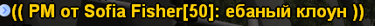 1719489597335.png