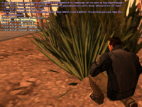gghsdoidskdsjkdjlkljd.png