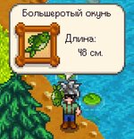 ЧЕЕ.jpg