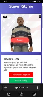 Screenshot_20240820_163009_com.yandex.searchapp.jpg