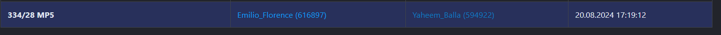 1724403757447.png