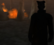 1725446131698.png