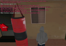 sa-mp-006.png