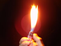 IMG_2128.jpeg