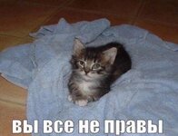 6Vpyml481lnlHIw6w_l6f-sZeB9q64sYA1HJ3_qTRQpHcGz63Je97oXYErzdiRXtaf7Ki06qPMxHB_JY9iaLF3vt.jpg