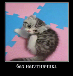 1727974558810.png