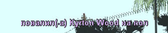 1728317734440.png