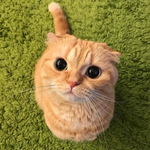 1728925227961.png