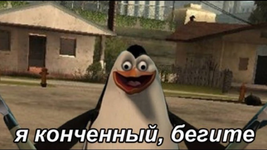 1728936628714.png
