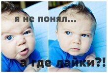 1730017844855.jpeg