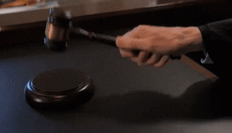 FeminineDistinctAidi-size_restricted.gif