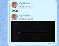 Screenshot_20241111_221456_com.vkontakte.android_edit_981767273806.jpg