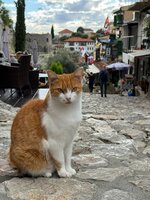 IMG_1544.jpeg