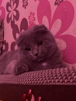 IMG_0994.jpeg