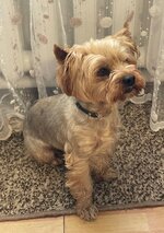 IMG_1735.jpeg