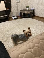 IMG_0729.jpeg