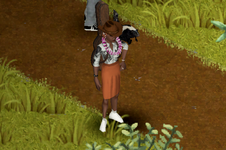 1733590586982.png